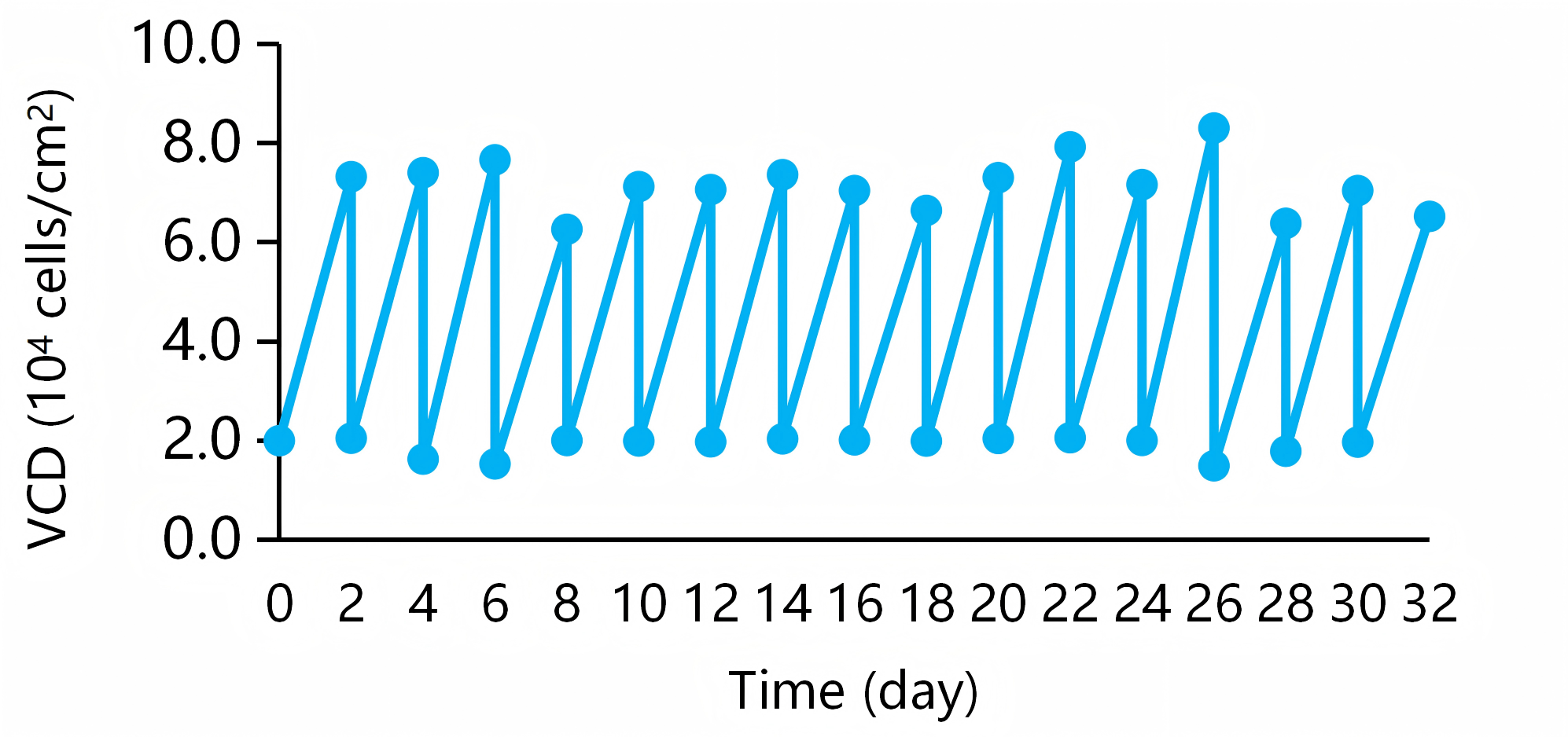 ACgro CD培养基能够支持Vero细胞持续稳定传代